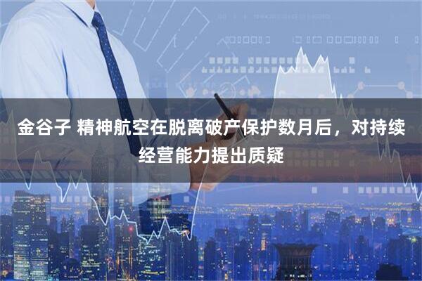 金谷子 精神航空在脱离破产保护数月后,对持续经营能力提出质疑