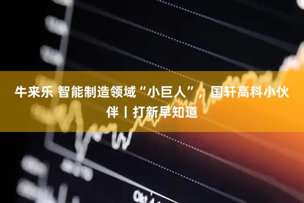 牛来乐 智能制造领域“小巨人”，国轩高科小伙伴丨打新早知道